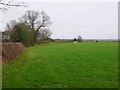 Countryside near Burton Green