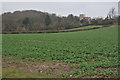 View to Binton church