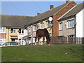 Horse grazing - Grayswood Crescent