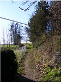 TM3968 : Footpath to Stickland Manor Hill & A12 Main Road by Geographer