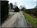 Bishopstone Lane passing Marigold Farm