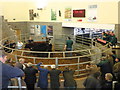 ST3034 : Cattle auction, at Sedgemoor Auction Centre by Roger Cornfoot