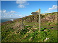 SX4150 : Coastal footpath sign above Wiggle Cliff by Rod Allday