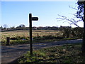 TM3869 : Footpath to Oak Tree Farm & Stickland Manor Hill by Geographer