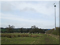 SP1570 : Sheep by M40 junction 16 by Robin Stott