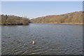 SK5962 : Vicar Water Country Park by Ashley Dace