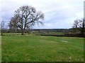 Countryside near Glanvilles Wootton