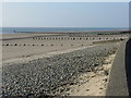 Seawall and groynes