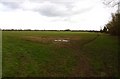 Field by Abingdon Road