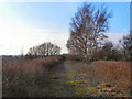 Dismantled Railway, Cadishead