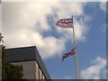 SD9205 : Union Flag and the Flag of the Armed Forces Day by Steven Haslington