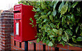 Letter box, Holywood