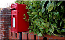 J3978 : Letter box, Holywood by Albert Bridge