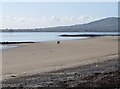 Walkers on the beach between Charleys Rock and Soldiers Point