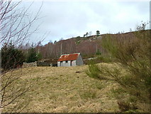 NH3113 : Shed and ruin at Dundreggan by Dave Fergusson