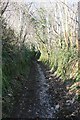 Unsurfaced lane near Danescombe