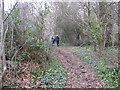 SO5402 : The footpath from Brockweir to St Briavels by Dr Duncan Pepper