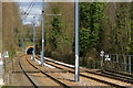 Tramlink Track Near Lloyd Park