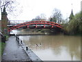 Geese on the canal, Leicester