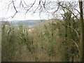 Steeply wooded hillside above Bigsweir