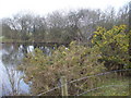 Pond at Wildwood Golf Course