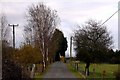 Road to Hitchcopse Farm