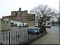 Winter tree in Castle Way