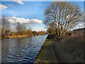 SJ7797 : Bridgewater Canal, Trafford Park by David Dixon