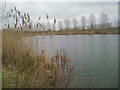 Flooded gravel pit near the Thames