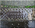 Drain cover, Bangor