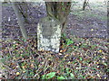 Milestone by the A281