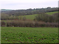 Fields near Castell Cenddu farm