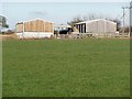 Arabe field and new barns