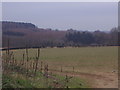 View from Hollow Lane, Wotton