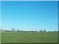 Farmland north of the Downpatrick Road