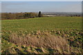 Welcombe Hills Country Park