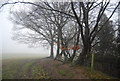 Footpath along the woodland edge