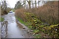 Collapsed Wall, Beresford lane