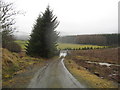 Track heading over small burn between Howpasley and Craik