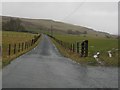 Road leading to Woodburn Farm