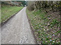 Ridgebourne Road, Kington near Hergest Croft Gardens