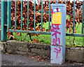 Traffic counter, Belfast