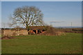 Farm buildings near Elliott