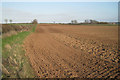 Harrowed field, Alveston Hill