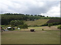 Pony Paddock, Arley