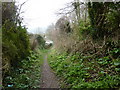 Bridleway leading from London Road to Lydden Temple Ewell National Nature Reserve