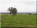 Dergbrough Townland