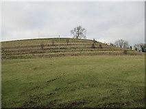 ST5138 : Terraced hillside by Bill Nicholls