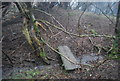 SO4895 : Footbridge in the woods by N Chadwick