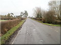 Straight and flat ahead, Green Street, Redwick